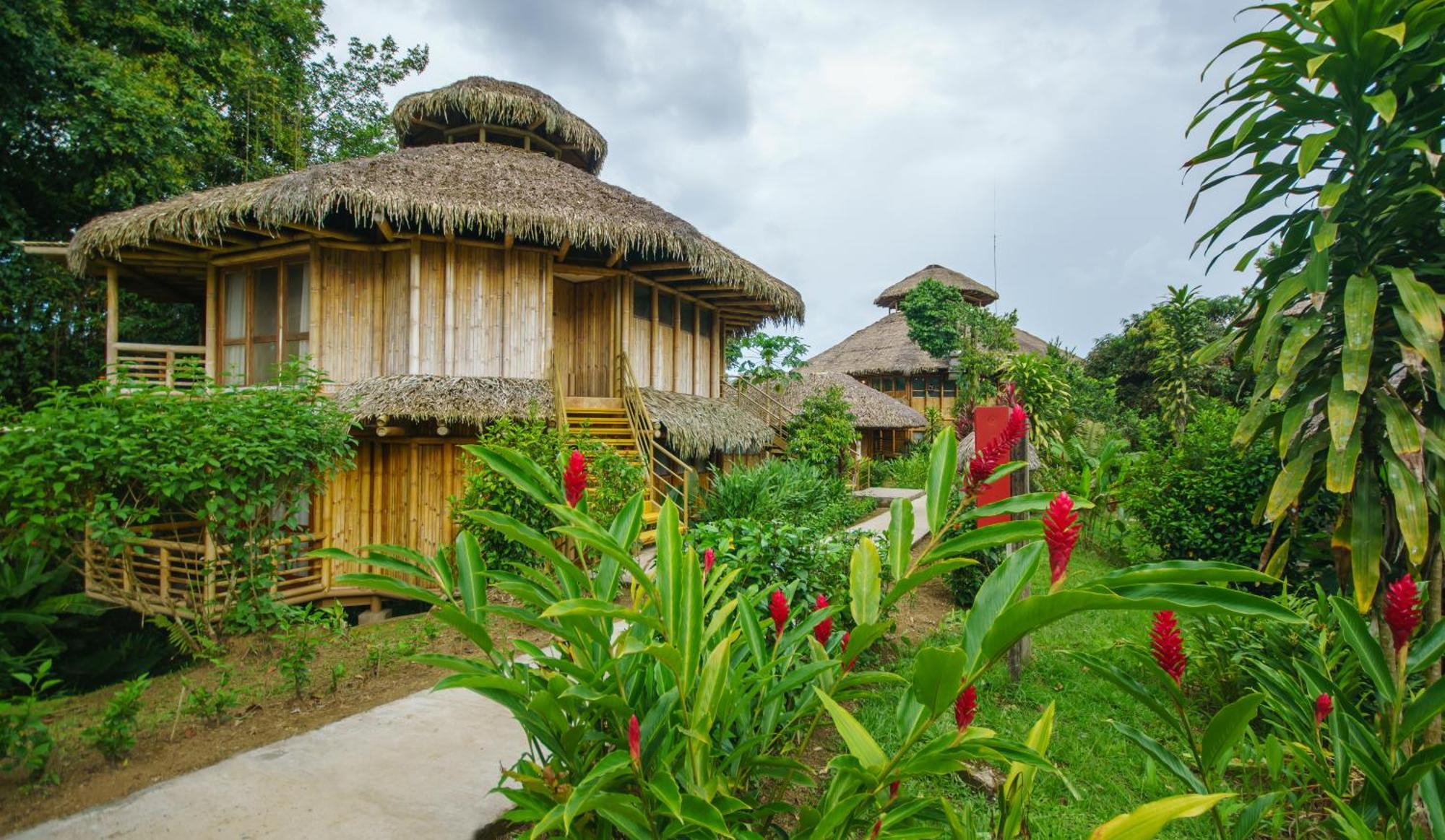 La Selva Eco-Lodge & Retreat Providencia Dış mekan fotoğraf