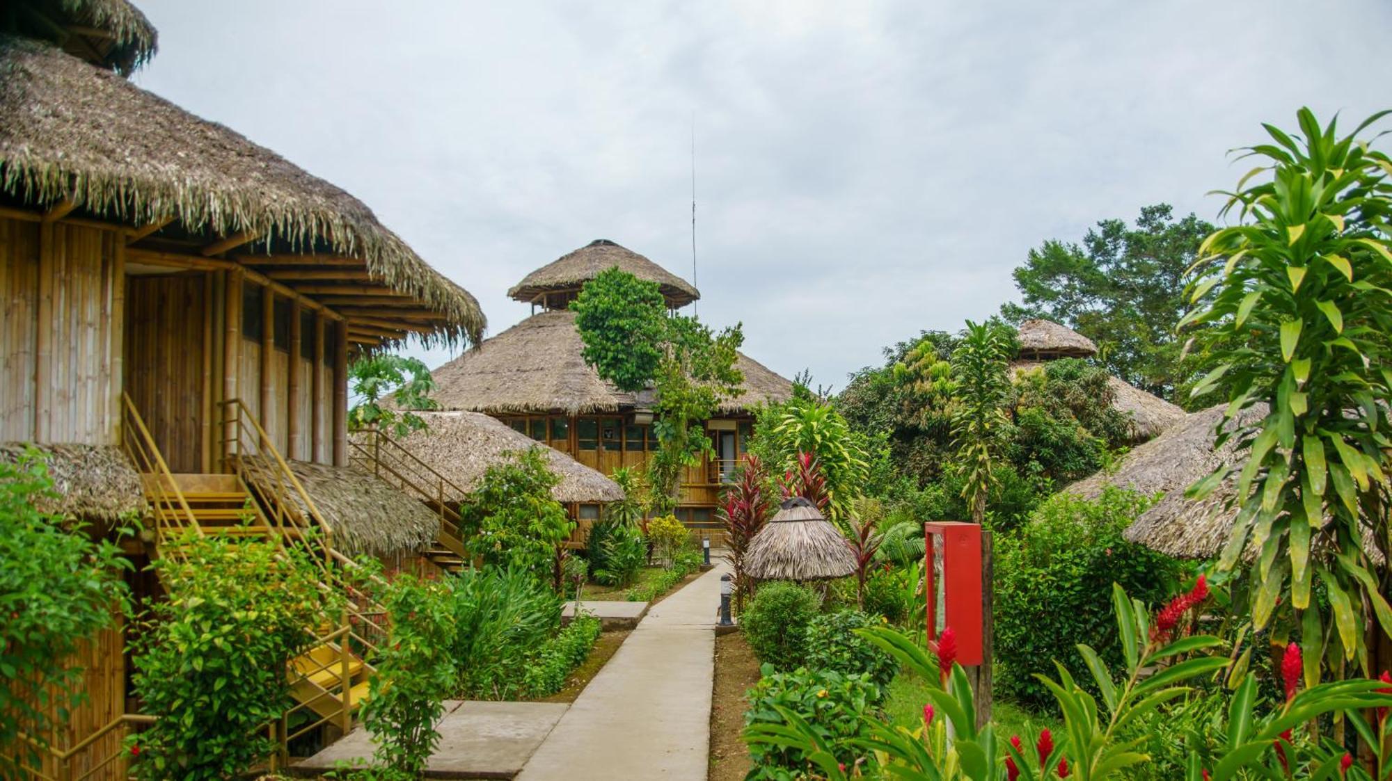 La Selva Eco-Lodge & Retreat Providencia Dış mekan fotoğraf