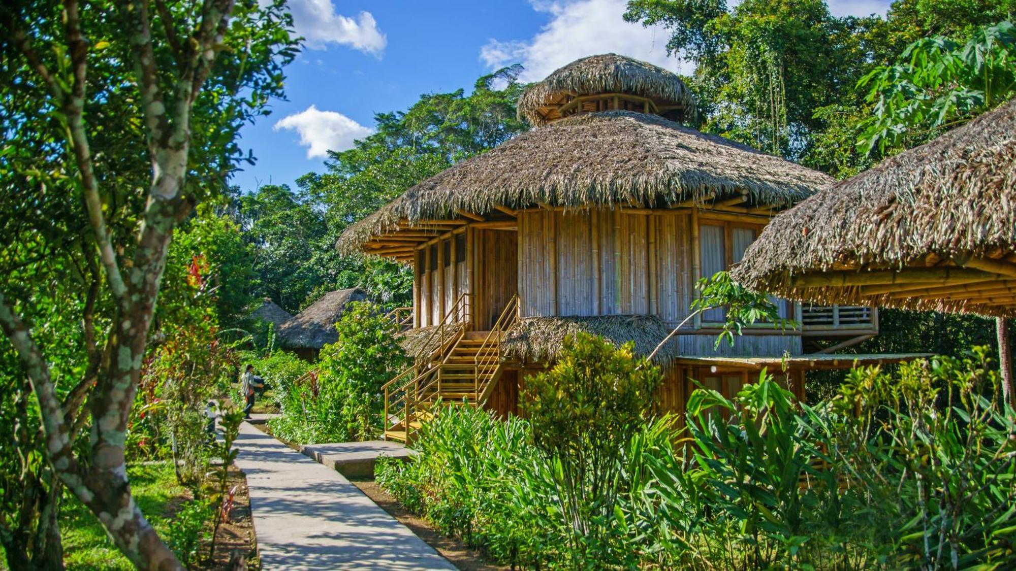 La Selva Eco-Lodge & Retreat Providencia Dış mekan fotoğraf