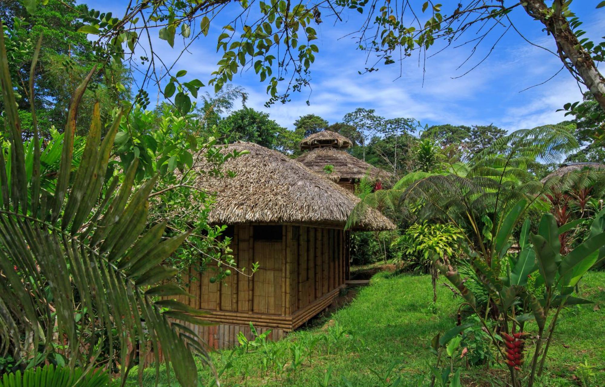 La Selva Eco-Lodge & Retreat Providencia Dış mekan fotoğraf