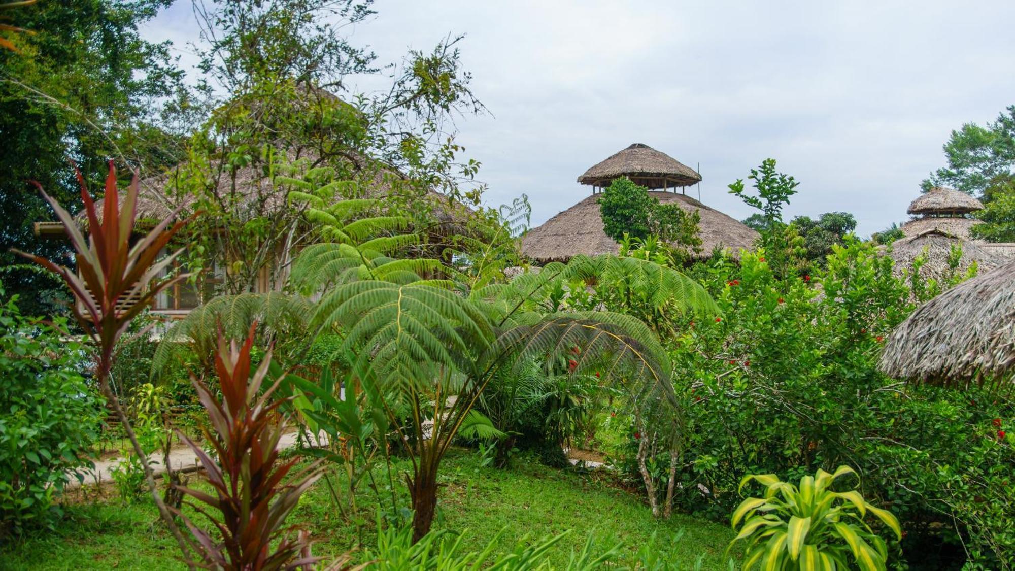 La Selva Eco-Lodge & Retreat Providencia Dış mekan fotoğraf