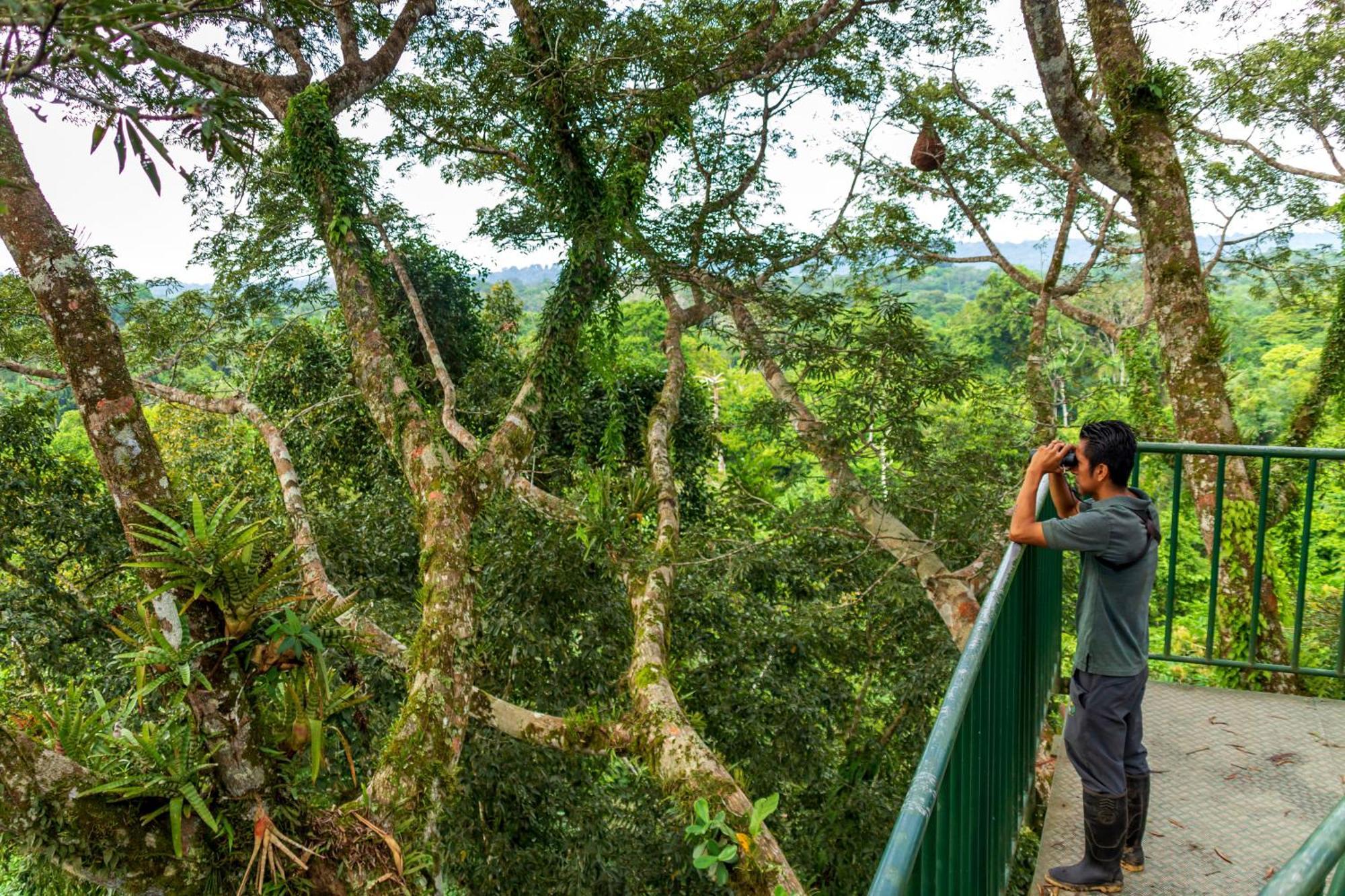 La Selva Eco-Lodge & Retreat Providencia Dış mekan fotoğraf